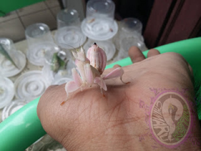 20170822 161244-picsay.jpg 1