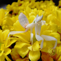 20180902 150328-picsay 1