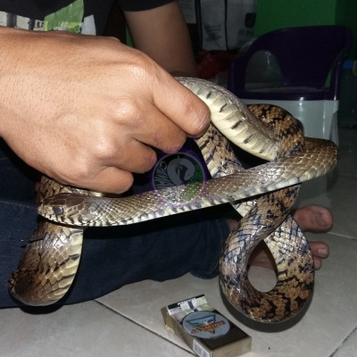 20190329 192318-picsay 6