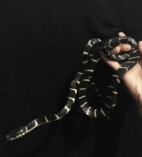 IMG20171222205440-picsay